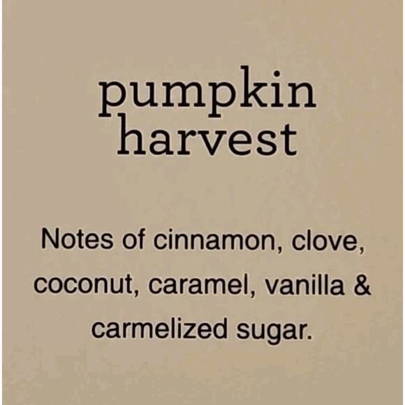 Sand And Fog Fall Fragrance Oils 4pk 0.33oz each Fragrance Oils Set - Picture 4 of 6